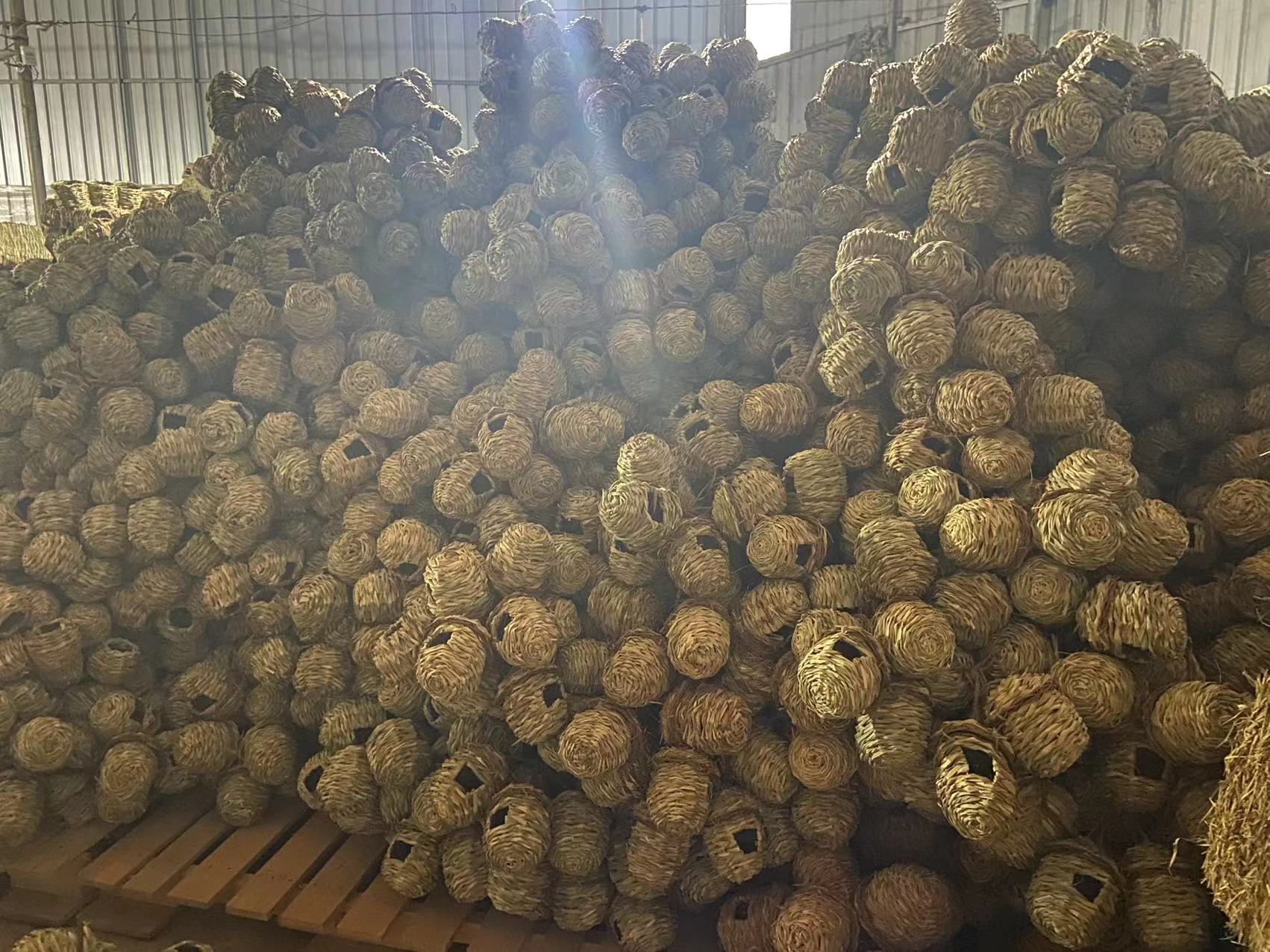 微信图片_202111201000065