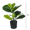 Plantas artificiais tropicais estilo nórdico, incluindo Ficus lyrata e figueiras, para salas de estar internas, vitrines de lojas de roupas e arranjos em vasos de chão.