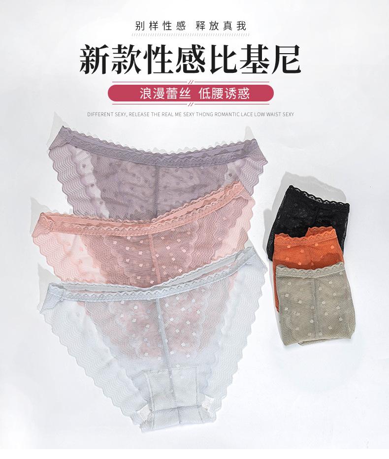 6080尚乐美模板_01.jpg