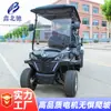 Carrinho de golfe para campos de treino de golfe, clubes privados, transporte silencioso de curta distância, carrinho de golfe com estrutura à prova de ferrugem