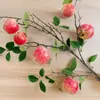 Enfeites Decorativos para Sala de Estar de Maçã, Adereços para Fotografia de Frutas Falsas com Folhas e Galhos para Paisagismo, Flores Artificiais, Galhos de Frutas Vermelhas, Frutas e Vegetais