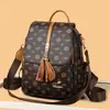 Mochila para Mujer 2023 Estilo K Nueva Moda Viaje Ocio Gran Capacidad Mochila de un Solo Hombro Moderna