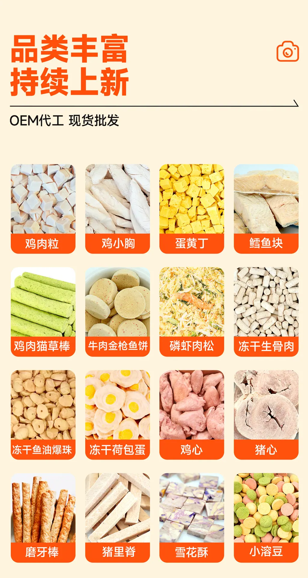 乌龟_02.jpg