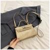 Bolso bandolera vintage de textura bloqueada para viajeros, temperamento suave, primavera 2024 nuevo, versátil, estilo ins, con cierre de bloqueo