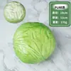 Modelo de vegetal de simulação PU pimenta alface repolho chinês berinjela cebola cogumelo brócolis modelo de adereços decoração de sala