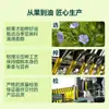 Xin Jinshang Suministro directo del fabricante de aceite comestible, aceite de linaza, aceite prensado de primera calidad, venta al por mayor con precios preferenciales para grandes cantidades, OEM disponible