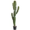 Planta de cactus de simulación paisaje desértico verde cactus mexicano midiendo pies columna de cactus falso plantas verdes de arena