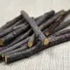 Atacado de fábrica em massa pet molar galho de maçã hamster coelho Totoro porco holandês porquinho da índia molar stick galho de maçã