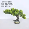Pin Verde Acogedor Planta Pequeño Adorno Paisajismo Sala de Estar Oficina Interior Escritorio Hotel Decoración Plástico Pino Falso