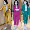 Conjunto feminino plus size com fenda nas costas, moda primavera estilo coreano, conjunto de duas peças elegante casual com calça cropped, atacado transfronteiriço