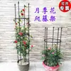 Soporte para Flores de Rosa Enrejado Trepador Soporte para Flores Soporte de Rosa Enrejado Trepador para Plantas Balcón Clematis Jardinería Estilo Europeo