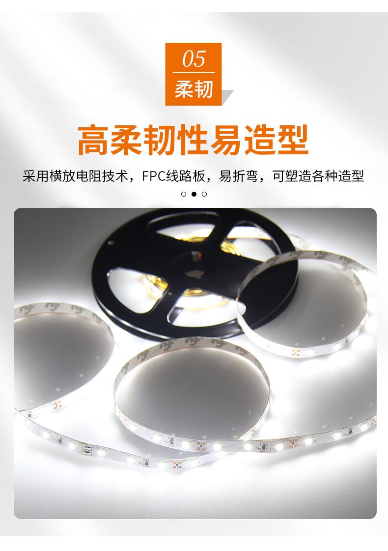 白光12V_09.jpg
