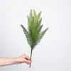 Hojas de Helecho Artificiales, Plantas de Helecho, Hojas de Ciprés, Hojas de Helecho Culantrillo, Plantas Verdes, Micro Paisaje, Hojas Verdes, Materiales de Hojas, Decoración de Bosque