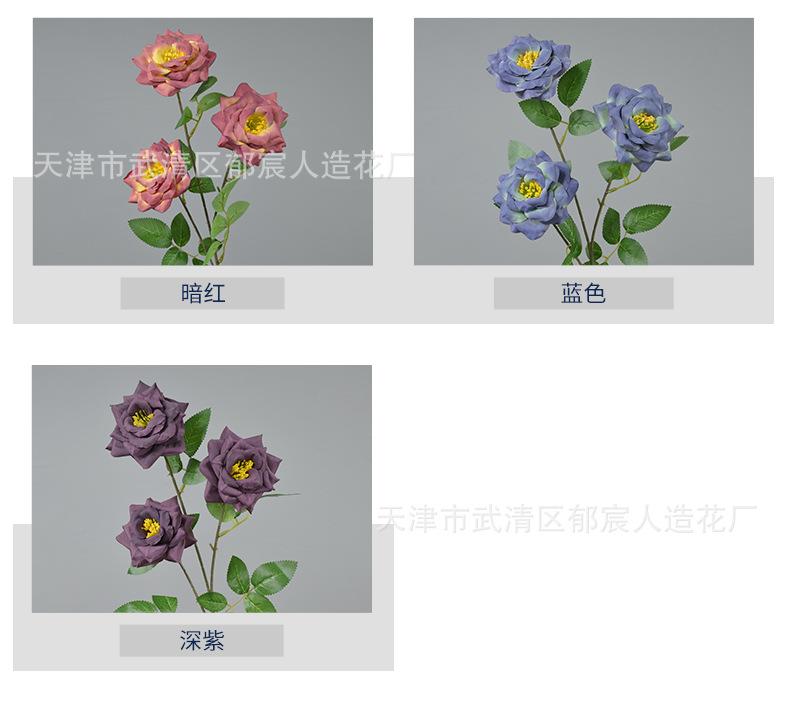 详情_04.jpg