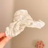 Pinza para el Cabello Negra Plisada con Forma de Nube para Mujer, Estilo de Alta Gama, Nuevo Modelo 2025, Pasador para la Parte Trasera de la Cabeza, Accesorio para el Cabello de Pinza de Tiburón