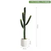 Cactus Falso Simulado Planta Verde en Maceta Florero Decorativo Adornos Pared de Fotos Fondo Simple Planta del Desierto Bonsái