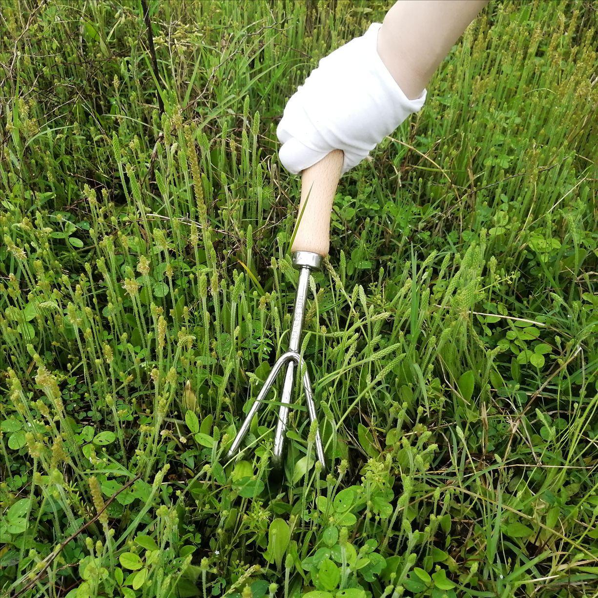 微信图片_20250419152009_已修改