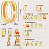 Bolsa de Carrinho de PVC Espesso de Alta Transparência em Forma de Q Bolsa de Armazenamento para Bonecas de Algodão Bolsa Suspensa à Prova de Poeira Bolsa para Exibição de Figuras de Brinquedo da Moda Boneca