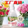 Solução Nutritiva Conservante para Flores Rosas e Lírios, Universal para Arranjos Florais, Prolonga a Vida das Flores, Líquido de Retenção de Água e Conservação para Flores Domésticas