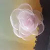 Versão Coreana de Quinze Flores de Gaze, Flores de Tecido de Gaze Nevasca, Flores com Borda Queimada, Acessórios Feitos à Mão, Pentes de Cabelo, Acessórios de Joia, Sem Trigo Taibo