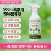 Solução Nutritiva Universal para Plantas de Alta Concentração, Fertilizante para Caule e Folhas, Promove o Crescimento e Controla o Crescimento Excessivo, Aumenta a Produção e Melhora a Qualidade, Fabricante de Fertilizantes Solúveis em Água