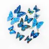 Decoración de pared caliente transfronteriza mariposa 3d pvc doble capa simulación Mariposa Accesorios para el hogar fondo mariposa pegatinas tridimensionales