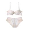 Ropa Interior de Encaje Bordado Francés para Mujer, Delgada, Transparente, Sujetador Push-up Pequeño, Parte Superior de Media Copa, Color de Contraste, Conjunto de Sujetador Sexy