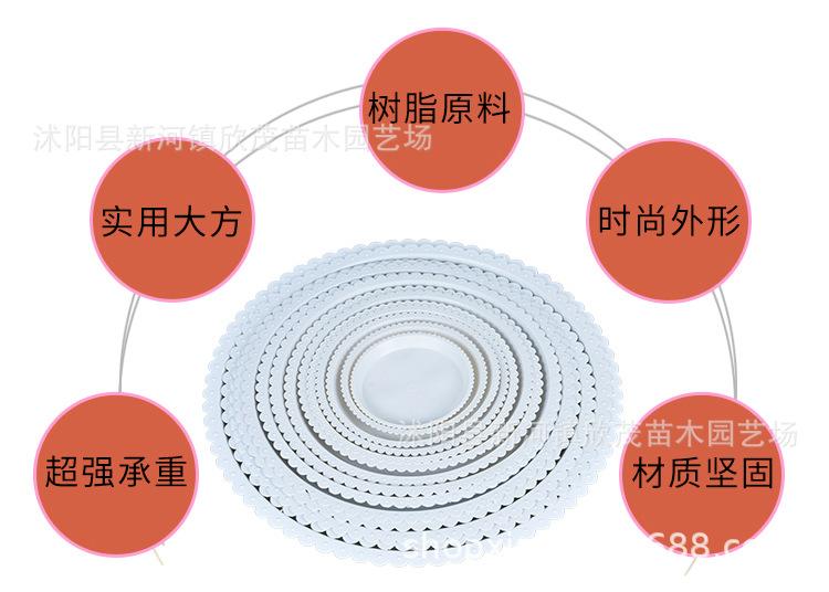 托盘 (3)