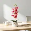 Venda Quente Transfronteiriça 7 Orquídeas Phalaenopsis Toque Realista Flores Artificiais Bonsai Fotografia de Casamento Decoração de Fotos Vasos de Flores Simulação Adereços de Plantas