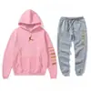 2025 Amazon Aliexpress Traje Deportivo para Hombre Sudadera con Capucha de Forro Polar Sudadera Más Fácil de Combinar Traje Deportivo Casual