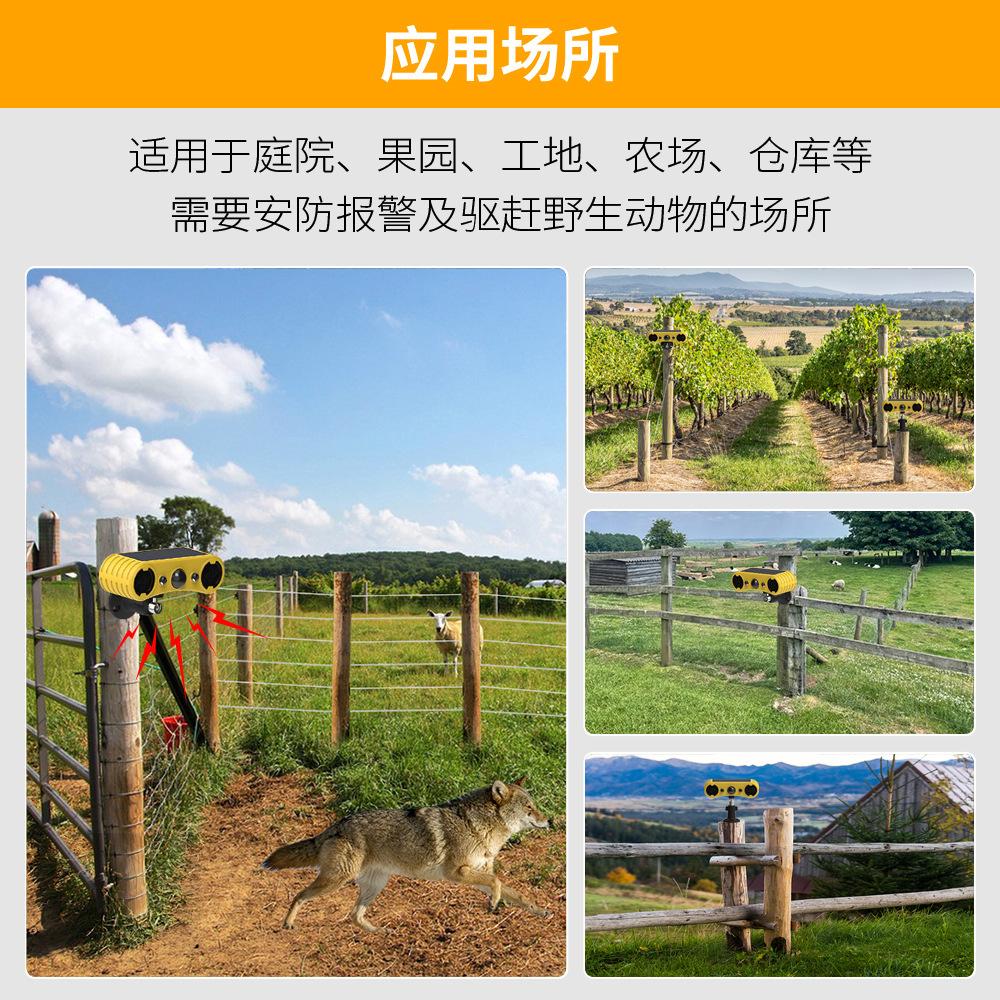 911W-外贸详情_06