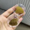Shuibei Mismo Estilo Oro Puro 999 Pegatina de Oro para Teléfono 2Mg, La Riqueza Viene de Todas Partes, Accesorio Creativo Regalo Venta al por Mayor
