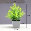 Venda quente transfronteiriça Simulação de planta Planta falsa Planta verde Decoração interna e externa Simulação de eucalipto em vaso de plástico Planta pequena em vaso