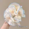 Brillante Coletero Estilo Zhao Lusi para Mujer, Goma para el Cabello de Alta Gama, Cuerda para Moño, Accesorio para el Cabello de Xu Yan