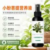 Solución Nutritiva Especial para Bodhi Xiao Pan, Promueve la Floración y el Crecimiento, Protege las Flores, Previene el Amarillamiento de las Hojas, Fertilizante Hidrosoluble Listo para Rociar