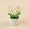 Acabamento Feito à Mão Transfronteiriço Flor de Girassol de Lã Tricotada em Vaso Lírio-do-Vale Não-Me-Esqueça Flor Artificial Ornamento Presente para o Dia do Professor