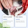 Polvo para Limpiar los Dientes de Gatos y Perros Yegbong Limpia el Sarro y los Dientes Amarillos, Refresca el Aliento, Cuida la Salud Bucal de Mascotas