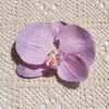 Flor de orquídea Phalaenopsis cabeça de flor flor caixa de doces grande adorno de cabeça sapatos de praia flor decorativa flor diy feita à mão material de flor decoração de fotografia de casamento