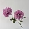 2 Flores de Peonía Artificiales para Decoración de Boda, Flores Falsas para Arreglo de Escena de Boda, Flores Artificiales para Exportación y Comercio Transfronterizo