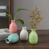 Vaso Cerâmico Colorido Pequeno Transfronteiriço Arranjo de Flores Hidropônicas Recipiente para Flores Secas Decoração de Sala de Estar Mesa de Escritório Esmalte Colorido Artesanal
