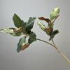 Planta Simulada de Hoja de Magnolia Floristería al por Mayor Jarrón Rama de Magnolia Adornos de Camelia Planta Verde Flor de Plástico Decoración de Paisajismo Arreglo Floral