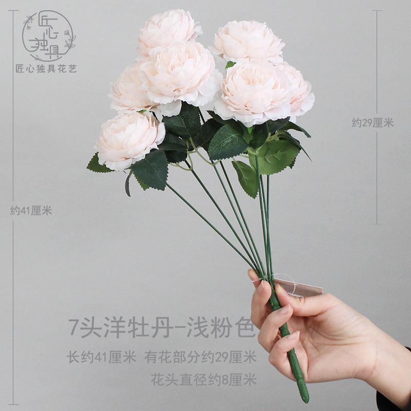 7头洋牡丹-浅粉色