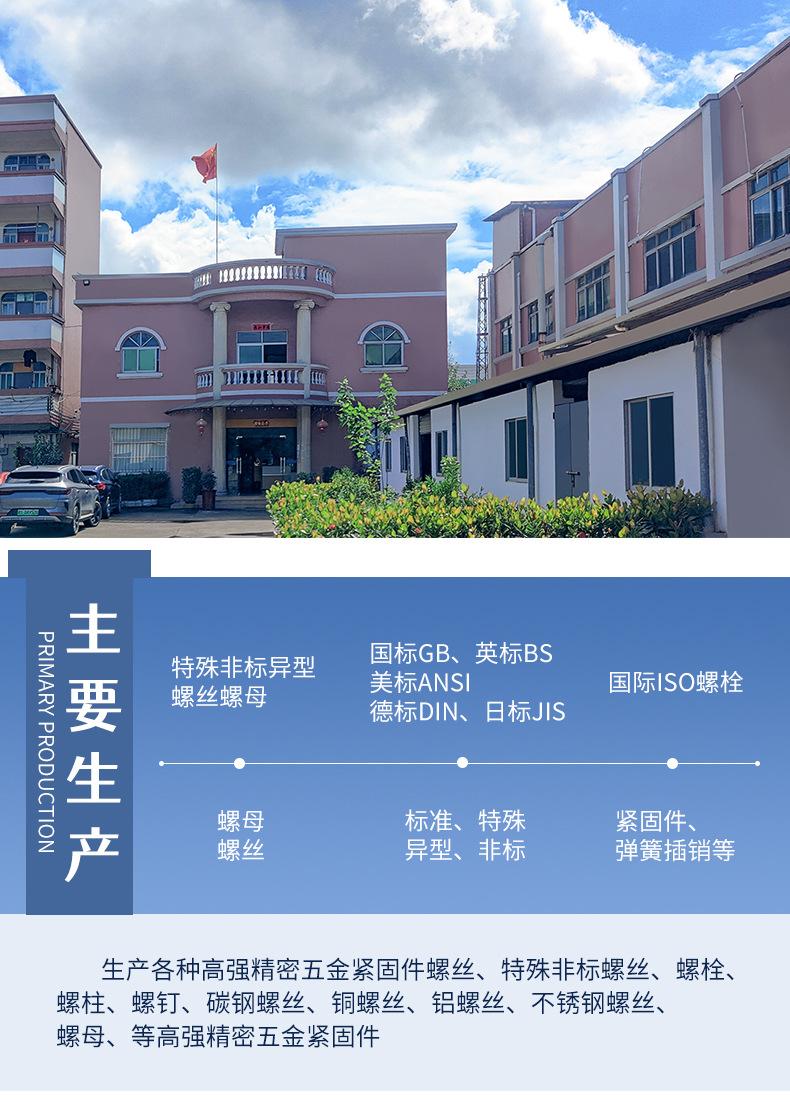 特殊非标异型螺丝螺栓螺母螺帽螺钉生产制造加工厂家1