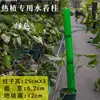 Pilar de musgo Sphagnum para pared, nuevo modelo 2026 para plantas tropicales, pilar de soporte para planta trepadora Monstera, se puede empalmar y extender para ajustar el tamaño