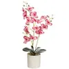 Novo Filme para Impressão 3D Garfo Três 15 Flores Phalaenopsis Bonsai Fornecimento Direto da Fábrica Moda Decorações para Casa