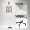 Modelo masculino de estilo coreano ajustado, accesorios de media figura humana, escaparate de ropa, modelo informal de moda, expositor de cuerpo entero