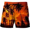 Pantalones de Playa Estampados en 3D Nuevos de Verano, Shorts con Paisaje de Atardecer Vacacional, Hechos en Fábrica al por Mayor Dropshipping DIY