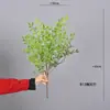 Samambaia mimosa folha de samambaia cauda de leque planta parede decoração macia arranjo de flores material de folha grama artificial galho grande samambaia persa