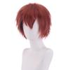 Principais fabricantes de chapéus de cabelo curto europeus e americanos em estoque, peruca de animação cosplay Shengda, cor universal Harajuku anti-deformada