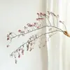 Ramo de Flores Secas de Planta de Regreso a la Montaña Decoración de Sala de Estar Estilo Wabi-Sabi Arreglo Floral Adorno de Rama Seca Ramas Secas